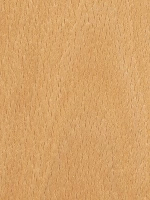 Beech Steamed veneer
